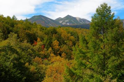 鈴蘭橋からは紅葉斜面の奥に、迫力ある乗鞍岳の姿が見えます。