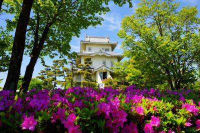 ツツジ咲く騎西城| 玉敷神社の大藤の近くにあります。城はツツジ・新緑に囲まれ、青空には雲が流れていきました。