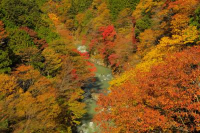 蛇行する多摩川と紅葉| この橋周辺は、オレンジ、赤、緑のバランスが良く、有名な場所ではありませんがカメラマンがたくさんいました。