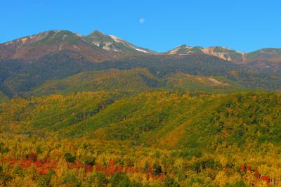 林道の木々の隙間から紅葉の乗鞍岳を一望することができます。