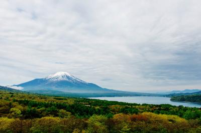 パノラマ台下の木々が新緑になってきました。薄曇のしっとりとした日でした。