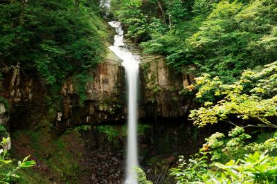 美しき直瀑| 縦模様の美しい岩盤と一筋の流れ