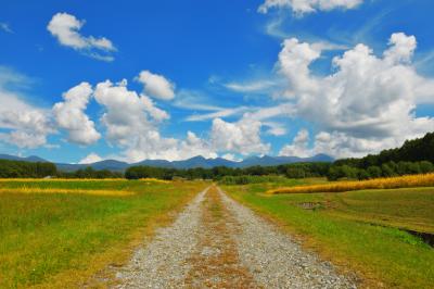 八ヶ岳の周辺には立体的な雲が流れていました。原村周辺は稲刈が真っ盛りでした。