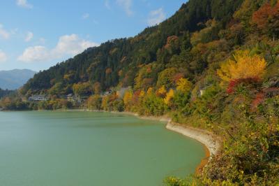 紅葉の湖畔| アーチ型の湖畔を彩るイチョウなどの紅葉。国道411号が北岸を通っておりダム湖の風景を楽しむことができます。