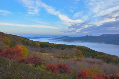 春には山桜、初夏には紫陽花が咲き誇る美の山。秋には赤やオレンジに染まる斜面が広がり、谷間を埋め尽くすほどの雲海を見ることができました。