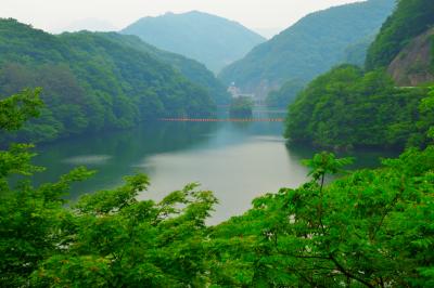 新緑のダム湖| ダム湖としては小さくてコンパクト。奥の山が印象的でした。