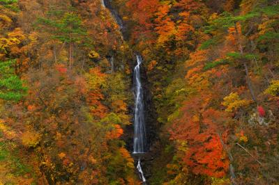 錦秋の滝| 山一面が真っ赤に燃え上がり、その中にある一条の美しい流れに目を奪われます。