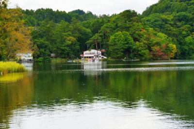 秋の湖畔| 湖畔には駐車場があり、とても静かな雰囲気でした。