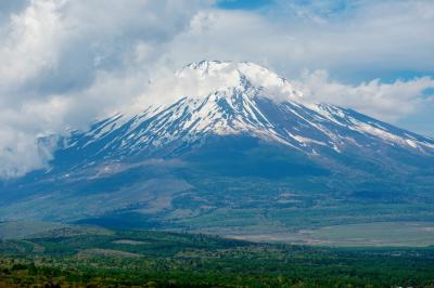 雲に覆われていた富士山が姿を現しました。新緑美しい富士。