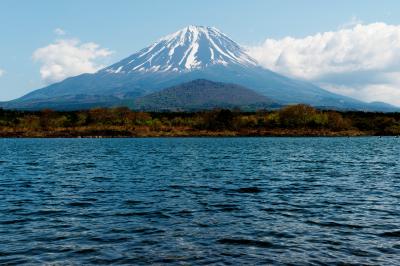 精進湖からは子供を抱いているような富士山を見ることができます。