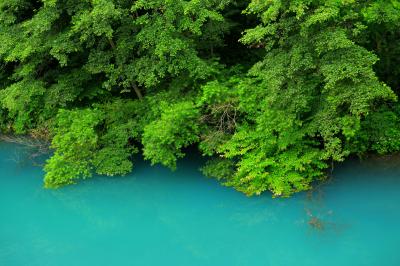 エメラルドグリーンの水面| 強酸性の白砂川にあるこのダムは水の色が神秘的。