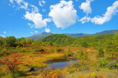 秋色に染まりつつある偲ぶの池。乗鞍高原の紅葉と乗鞍岳を撮影できるスポットのひとつです。