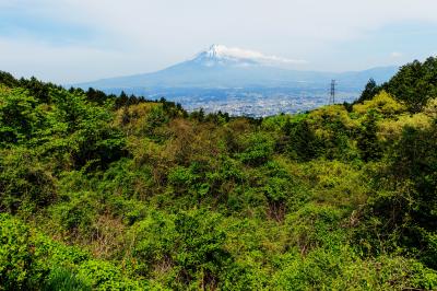 道路沿いから御殿場の街と富士山を一望できます。