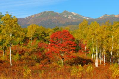 一の瀬園地は植生豊かで紅葉の時期は高原一帯が華やかに彩られます。