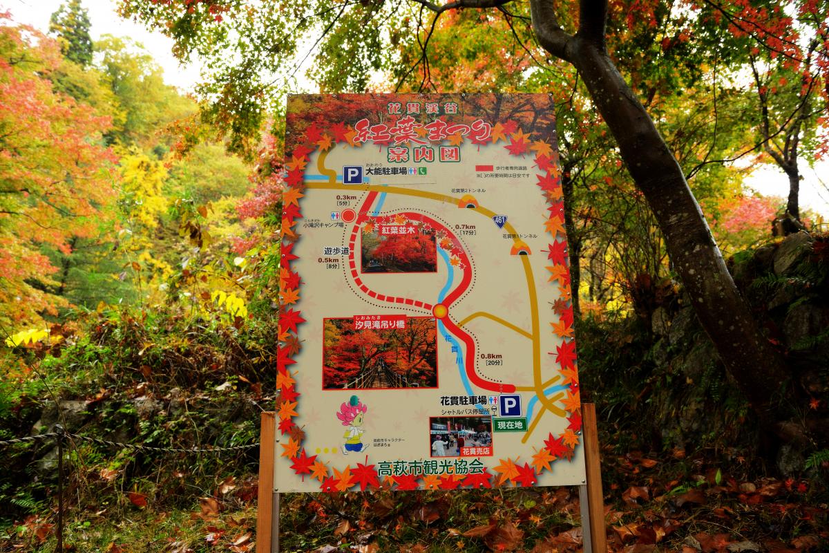 花貫渓谷 汐見滝吊橋の紅葉トンネルは茨城県屈指のモミジの名所 ピクスポット 絶景 風景写真 撮影スポット 撮影ガイド カメラの使い方