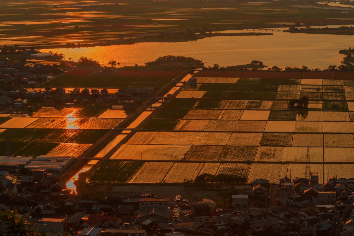 猪子山公園 北向岩屋十一面観音 展望台から望む夕焼けに染まる水田と夜景 ピクスポット 絶景 風景写真 撮影スポット 撮影ガイド カメラの使い方