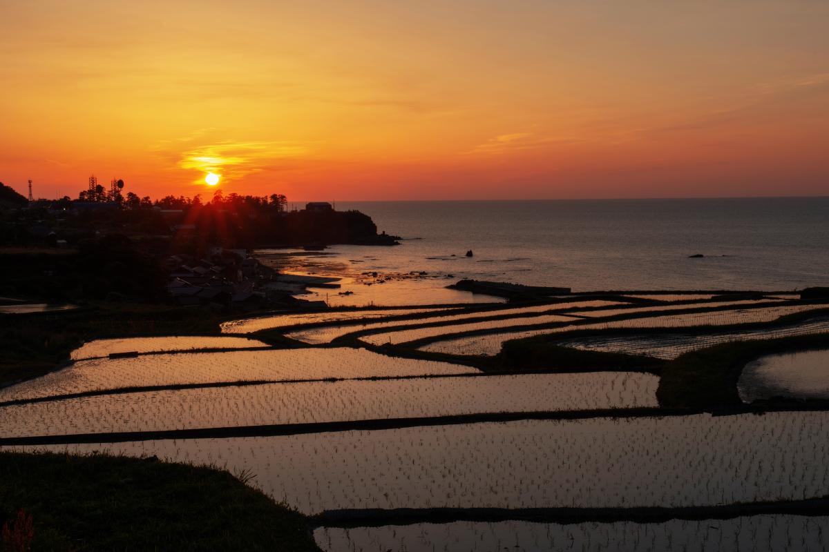 袖志の棚田 海へとつながる棚田の夕焼けリフレクション ピクスポット 絶景 風景写真 撮影スポット 撮影ガイド カメラの使い方