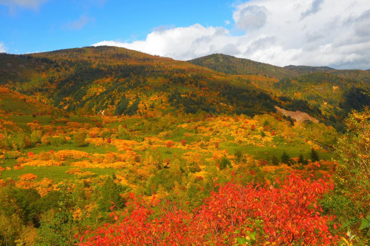 八幡平アスピーテライン スカイラインからの紅葉大パノラマ ピクスポット 絶景 風景写真 撮影スポット 撮影ガイド カメラの使い方