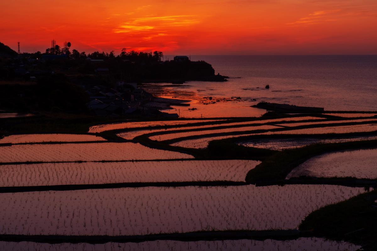 袖志の棚田 海へとつながる棚田の夕焼けリフレクション ピクスポット 絶景 風景写真 撮影スポット 撮影ガイド カメラの使い方