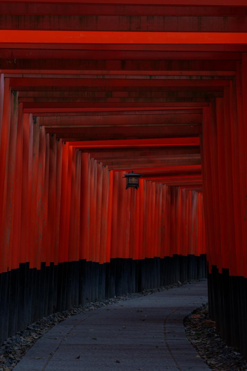 伏見稲荷大社 世界の人々を魅了する千本鳥居 ピクスポット 絶景 風景写真 撮影スポット 撮影ガイド カメラの使い方