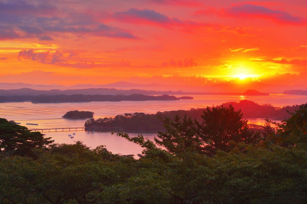 西行戻しの松公園 約300本の桜と日本三景のひとつ 松島湾 の絶景 朝焼けで真っ赤に染まる海 ピクスポット 絶景 風景写真 撮影スポット 撮影ガイド カメラの使い方