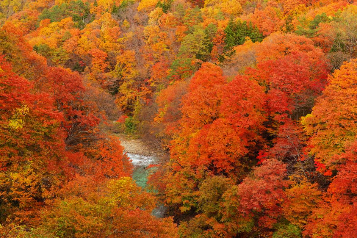 白砂渓谷 撮影ガイド 全山紅葉で真っ赤に染まる山々とエメラルドグリーンの渓谷美 ピクスポット 絶景 風景写真 撮影スポット 撮影ガイド カメラの使い方