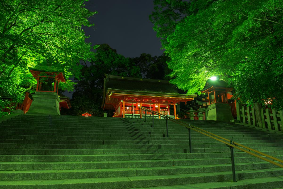 伏見稲荷大社 世界の人々を魅了する千本鳥居 ピクスポット 絶景 風景写真 撮影スポット 撮影ガイド カメラの使い方