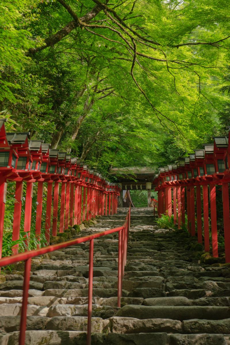 貴船神社 石段と赤い春日灯篭が美しい京都のパワースポット ピクスポット 絶景 風景写真 撮影スポット 撮影ガイド カメラの使い方