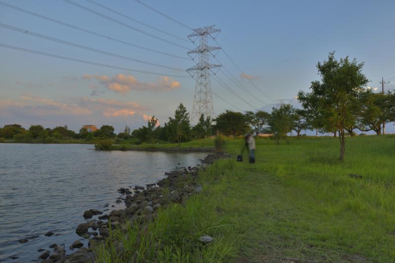 [ 母子島遊水地 ]  