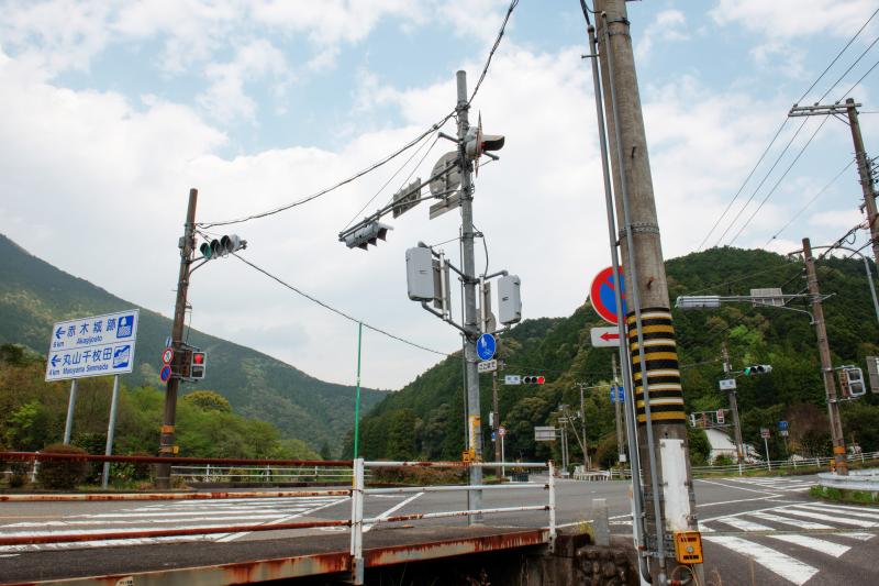 [ 丸山千枚田俯瞰 ]  