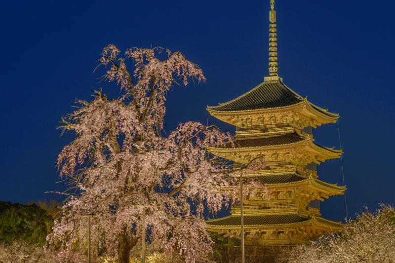 東寺| 