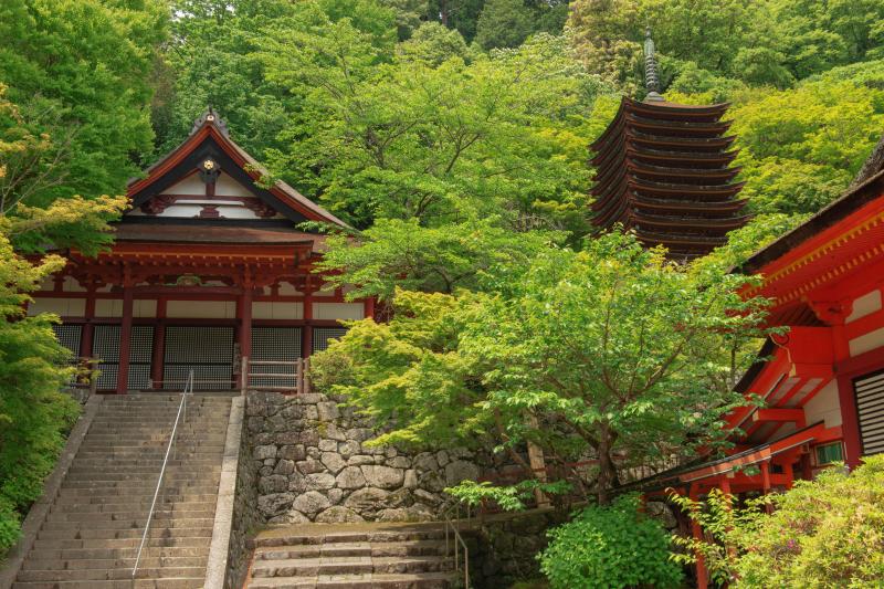 新緑の談山神社| 新緑・紅葉の名所である談山神社。十三重塔が新緑に包まれていました。