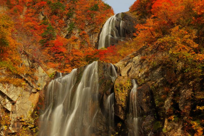 [ 錦秋の滝 ]  安の滝は二段滝になっており、紅葉の中を末広がりに水が流れ落ちていきます。