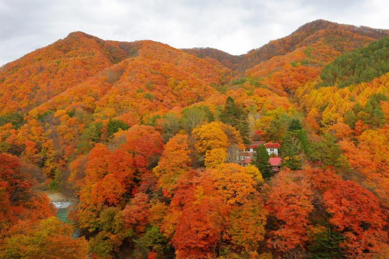 [ 白砂渓谷の紅葉 ]  