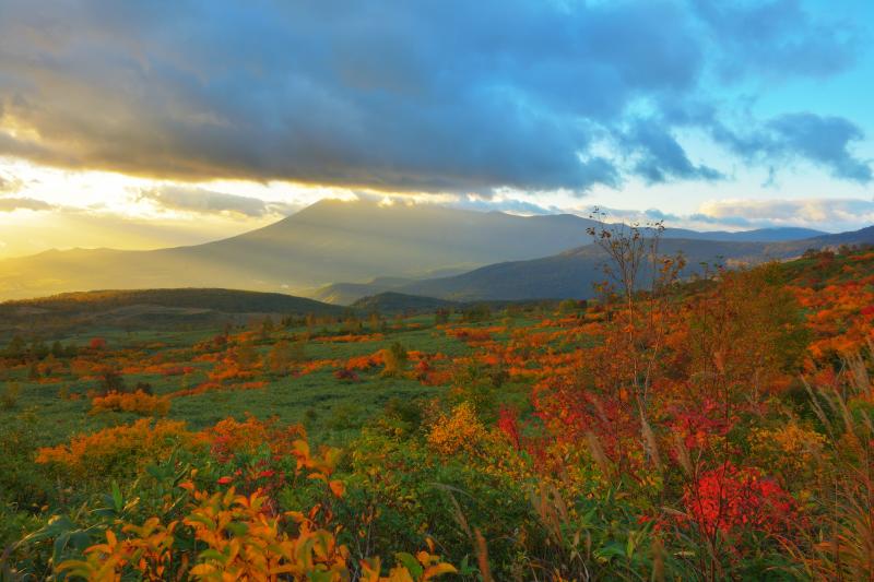 斜光| 岩手山の左から強い斜光が入ってきました。紅葉と日本百名山の美しい眺め。