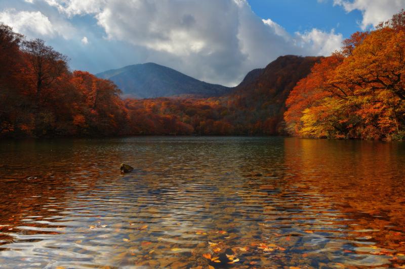 [ 赤沼と赤倉岳 ]  沼の底まで見える圧倒的な透明度。紅葉に囲まれた沼の奥には八甲田連峰の赤倉岳が見えます。