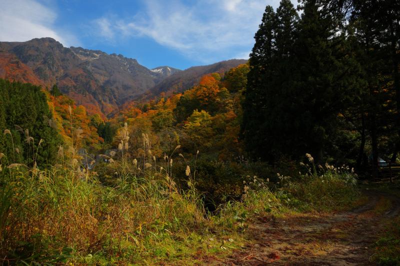 [ 八海山 ]  