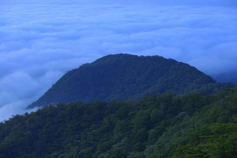 [ 雲海 ]  展望台からは半円形の山が見えます。その奥には雲海が広がっていました。