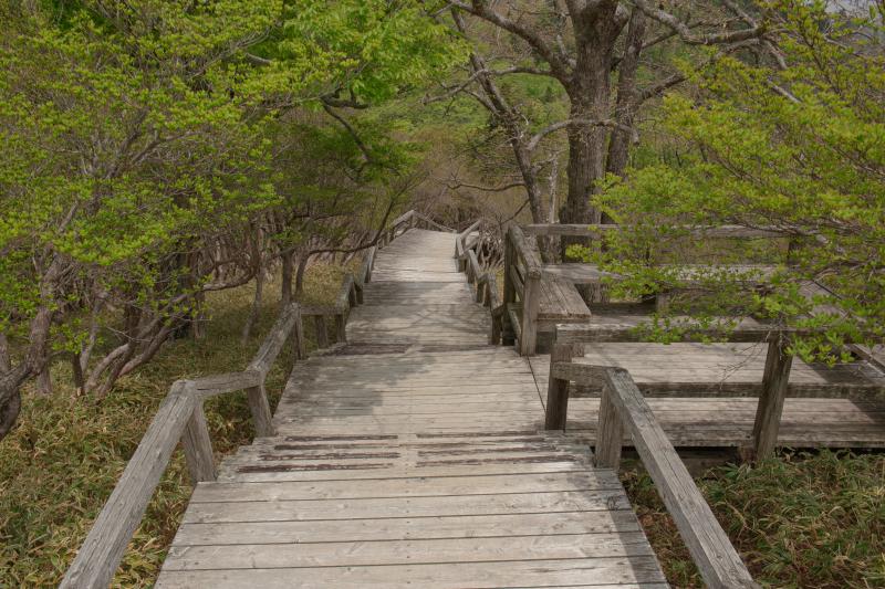 [ 大台ケ原 ]  