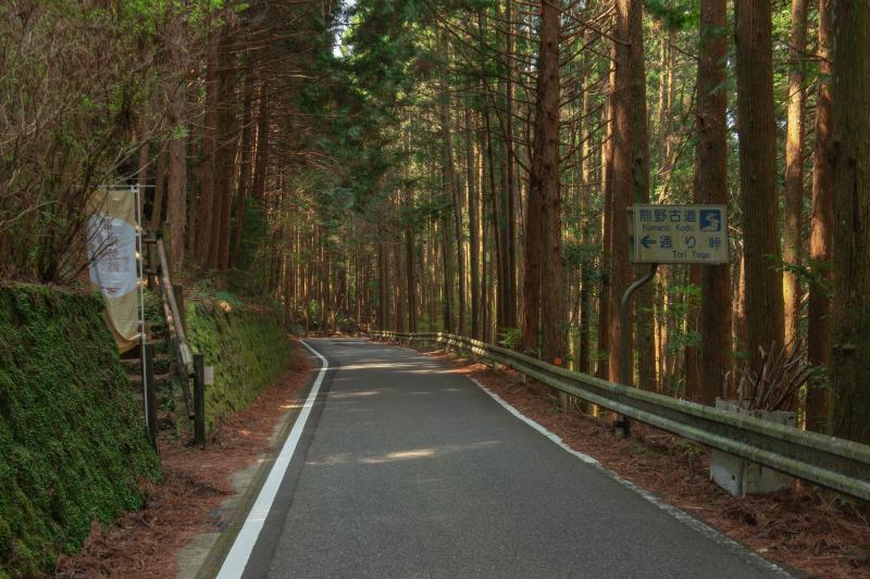 [ 丸山千枚田俯瞰 ]  