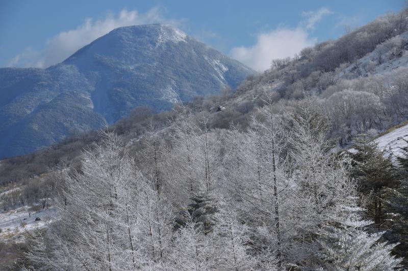 霧氷と日本百名山「蓼科山」| 雄大な蓼科山と霧氷のコラボレーション。蓼科山から雲が湧き上がっていました。