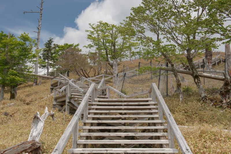 [ 大台ケ原 ]  