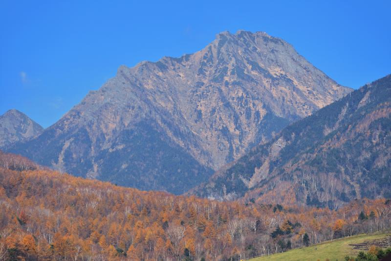 [ 八ヶ岳眺望 ]  牧場からは青空にそびえる八ヶ岳が見えます。黄色に輝く紅葉が綺麗でした。