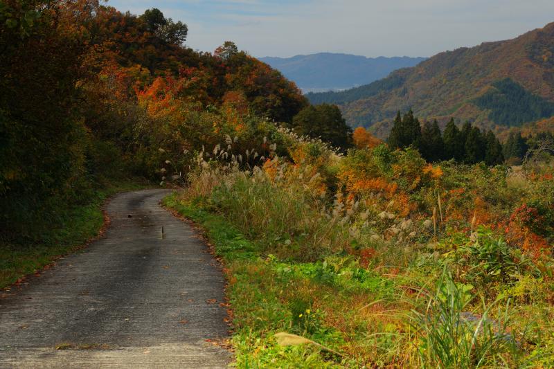 [ 八海山 ]  