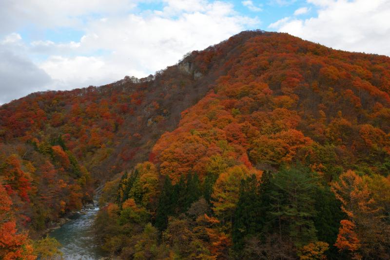 [ 白砂渓谷の紅葉 ]  