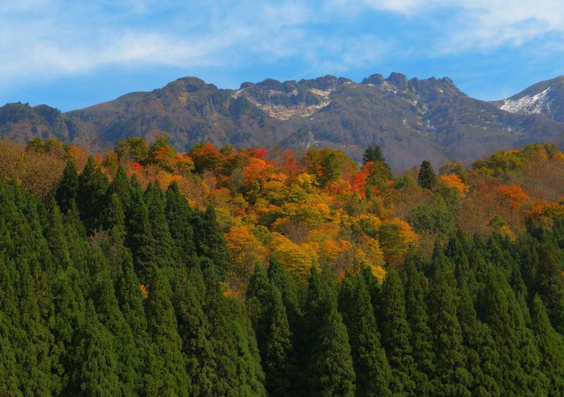 [ 八海山 ]  