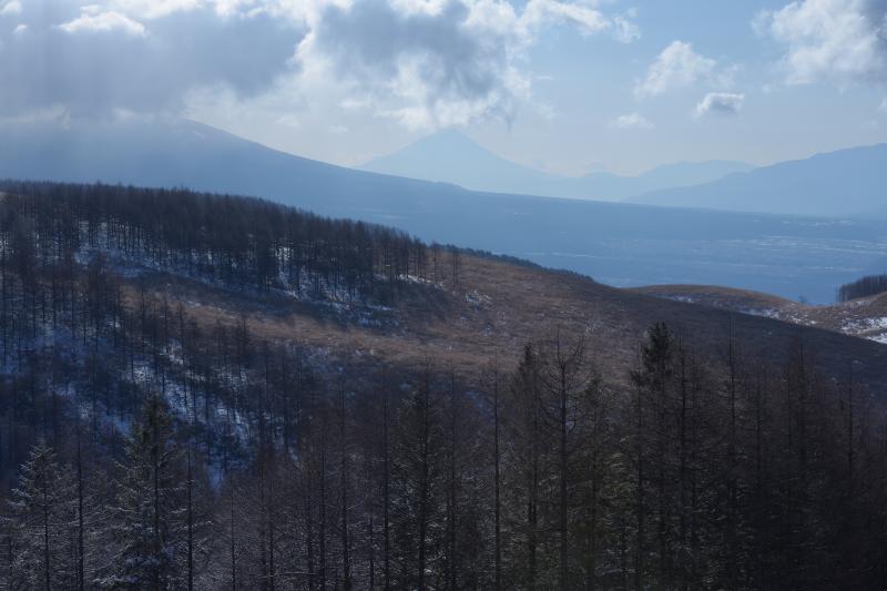 [ 霧ヶ峰 霧氷 ]  