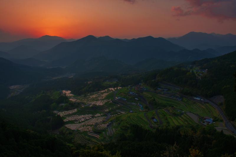 [ 丸山千枚田俯瞰 ]  