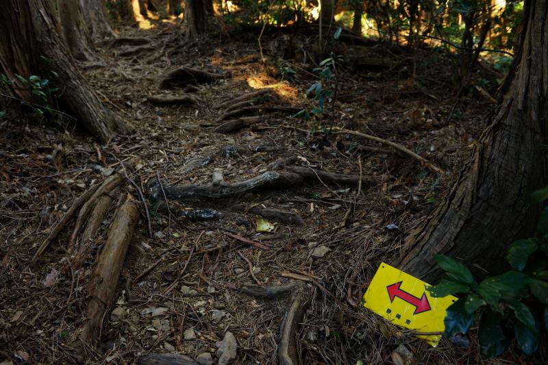 [ 朝鮮岩 登山ルート ]  