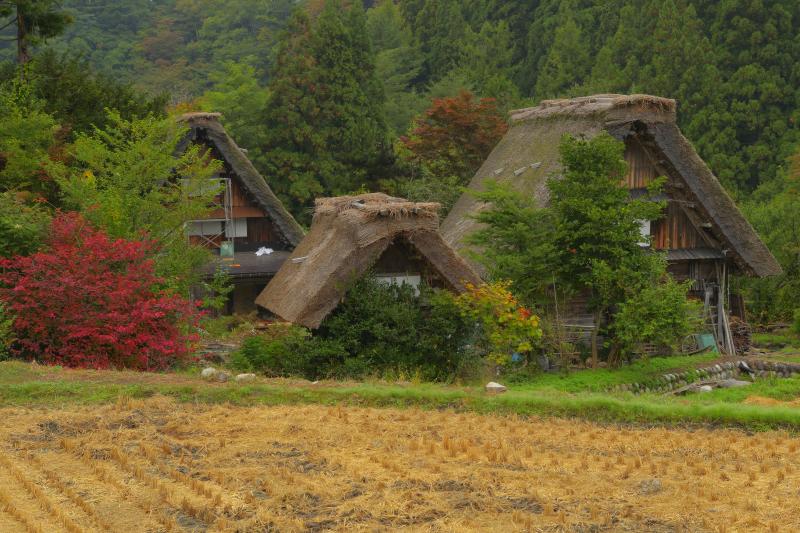 [ 城山展望台 ]  